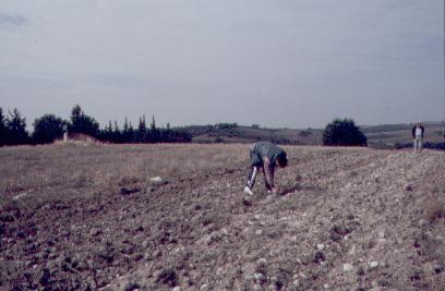 Ανακάλυψη αρχαιολογικών