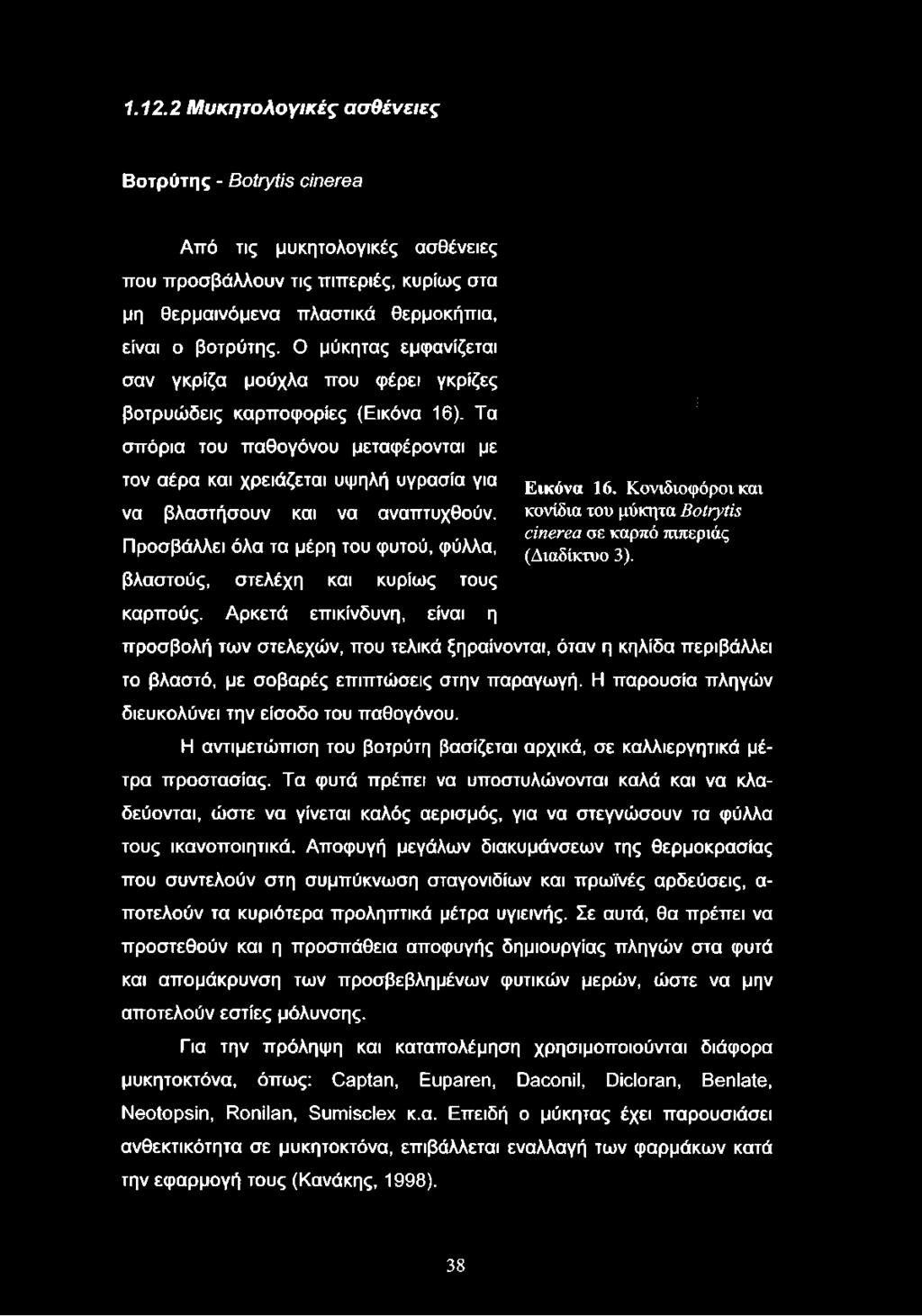 Τα σπόρια του παθογόνου μεταφέρονται με τον αέρα και χρειάζεται υψηλή υγρασία για να βλαστήσουν και να αναπτυχθούν. Προσβάλλει όλα τα μέρη του φυτού, φύλλα, βλαστούς, στελέχη και κυρίως τους καρπούς.