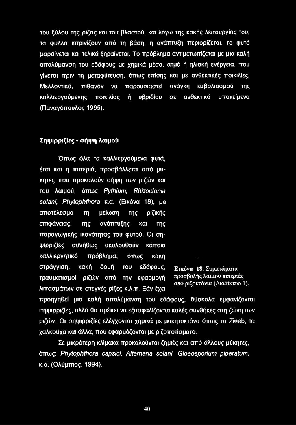 Μελλοντικά, πιθανόν να παρουσιαστεί ανάγκη εμβολιασμού της καλλιεργούμενης ποικιλίας ή υβριδίου σε ανθεκτικά υποκείμενα (Παναγόπουλος 1995).