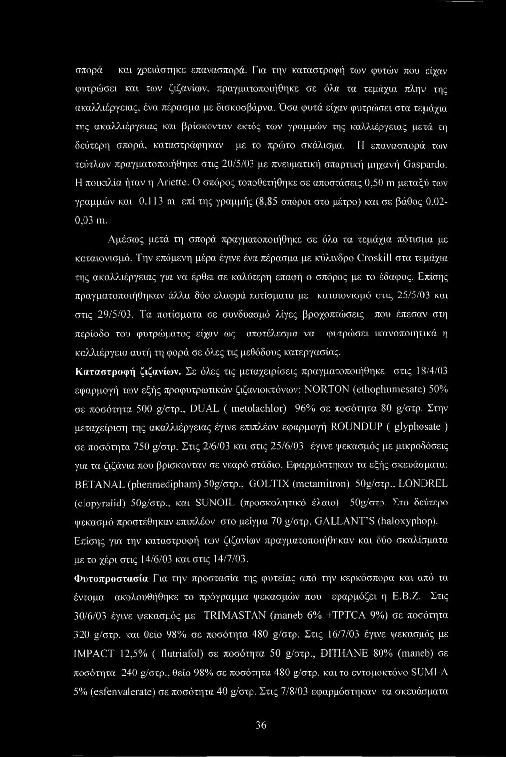 Η επανασπορά των τεύτλων πραγματοποιήθηκε στις 20/5/03 με πνευματική σπαρτική μηχανή Gaspardo. Η ποικιλία ήταν η Ariette. Ο σπόρος τοποθετήθηκε σε αποστάσεις 0,50 m μεταξύ των γραμμών και 0.