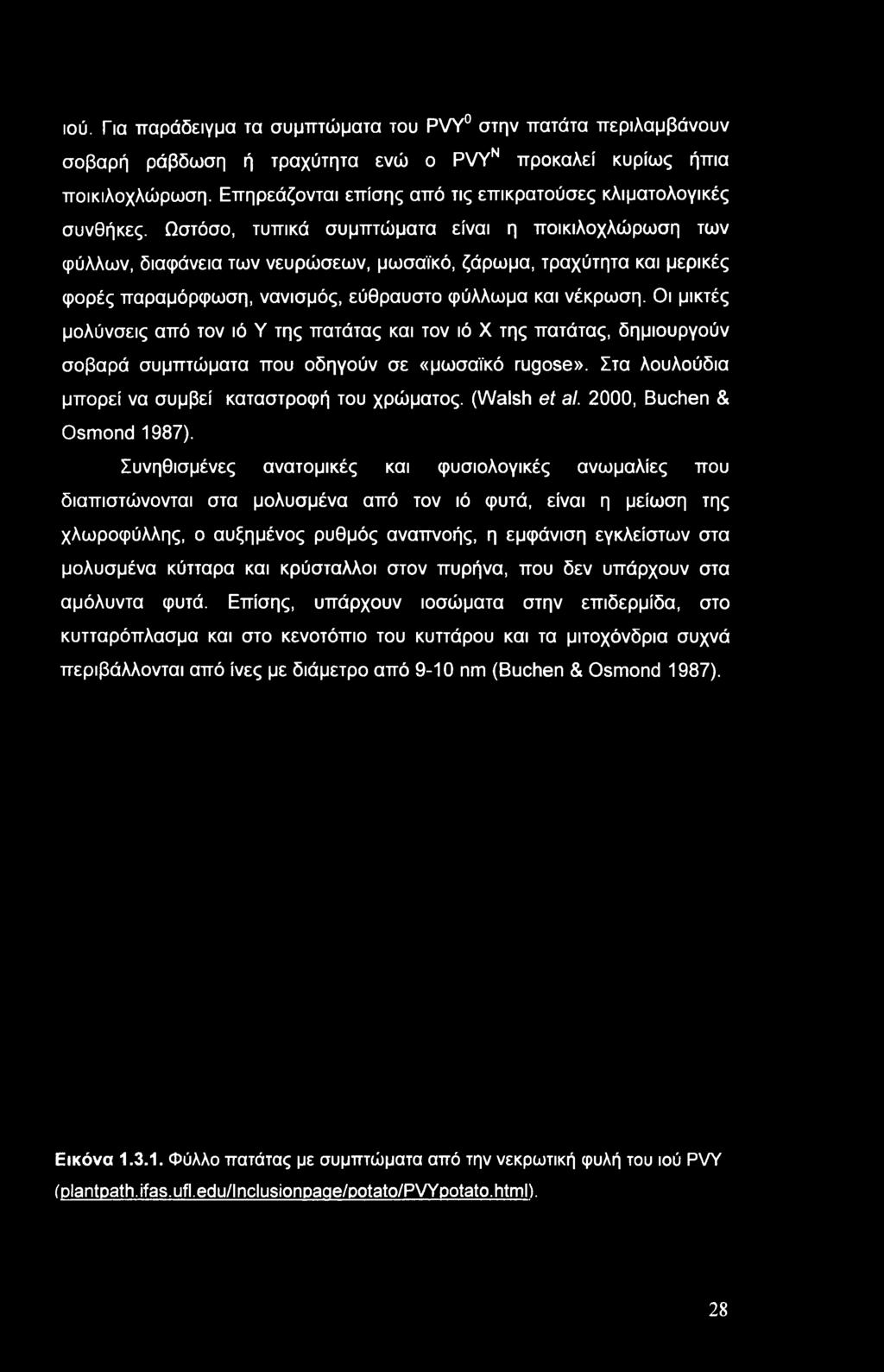 Ωστόσο, τυπικά συμπτώματα είναι η ποικιλοχλώρωση των φύλλων, διαφάνεια των νευρώσεων, μωσαϊκό, ζάρωμα, τραχύτητα και μερικές φορές παραμόρφωση, νανισμός, εύθραυστο φύλλωμα και νέκρωση.