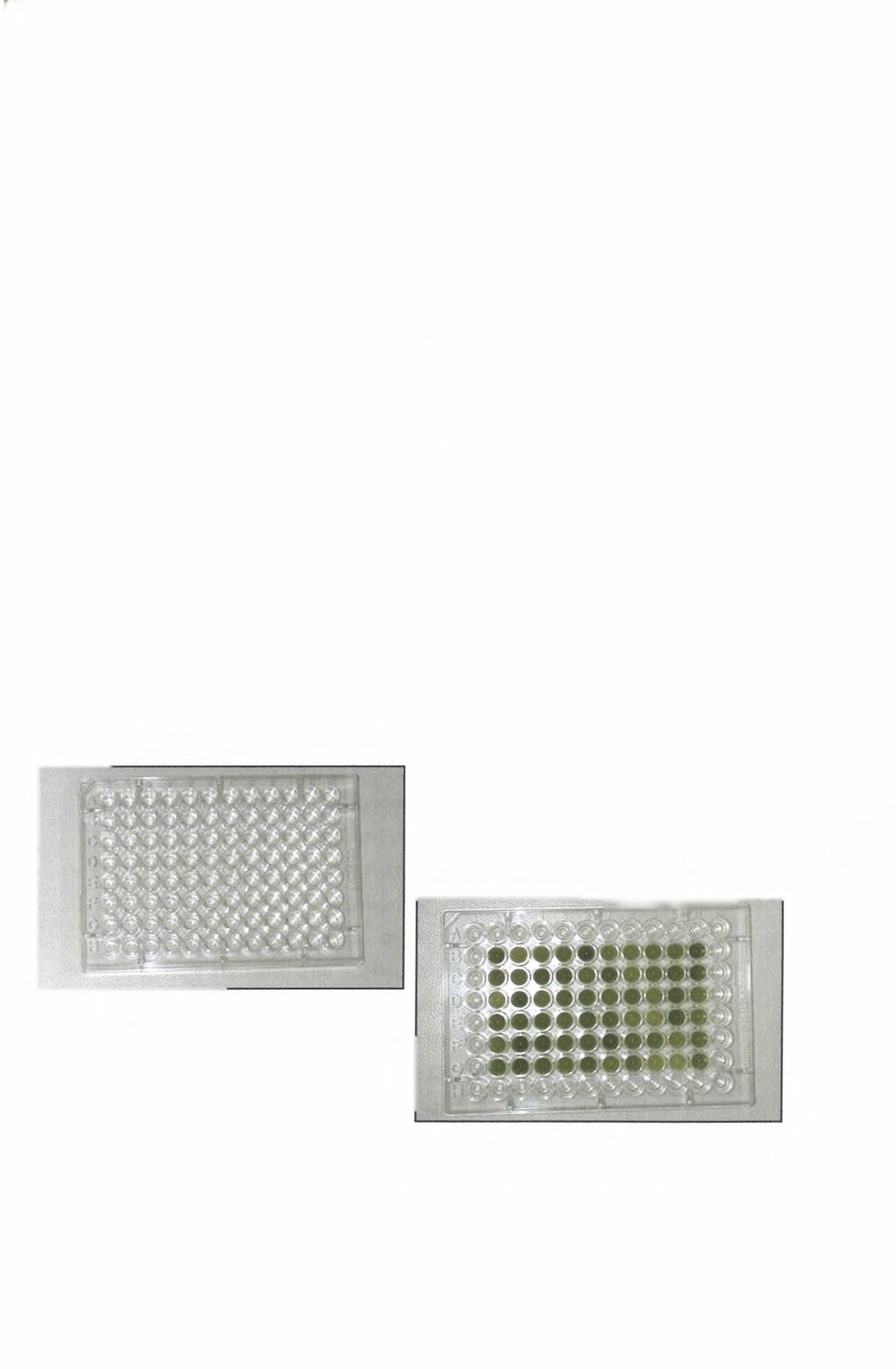 αντιγόνο. Η ACP-ELISA (Antigen Coated Plated ELISA) γίνεται επίσης σε μικροπλάκες πολυστυρενίου.