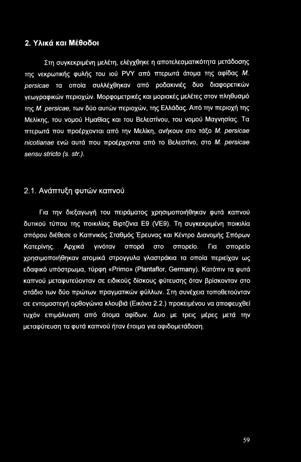 Από την περιοχή της Μελικής, του νομού Ημαθίας και του Βελεστίνου, του νομού Μαγνησίας. Τα πτερωτά που προέρχονται από την Μελίκη, ανήκουν στο τάξο Μ.