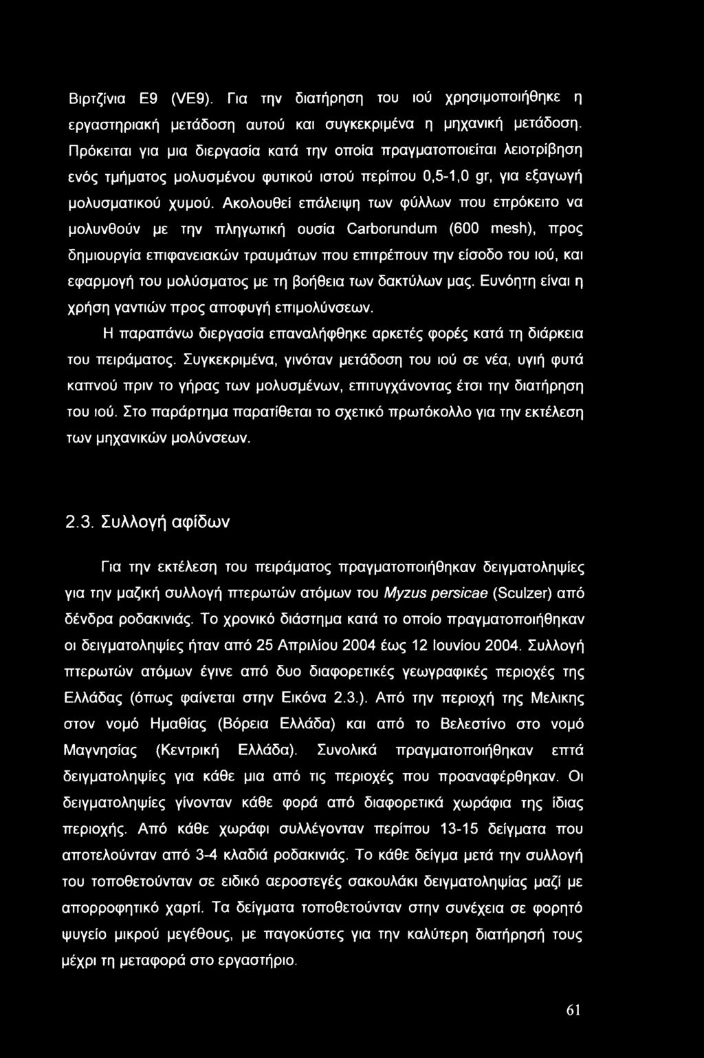 Ακολουθεί επάλειψη των φύλλων που επρόκειτο να μολυνθούν με την πληγωτική ουσία Carborundum (600 mesh), προς δημιουργία επιφανειακών τραυμάτων που επιτρέπουν την είσοδο του ιού, και εφαρμογή του