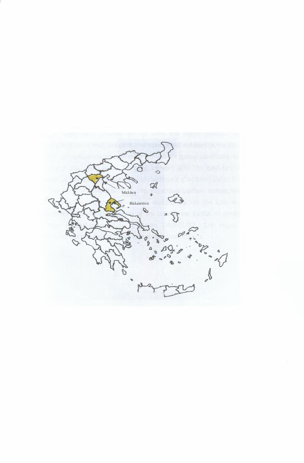 Η συντήρηση των δειγμάτων στο εργαστήριο γινόταν σε ειδικά εντομοστεγή κλουβιά διαστάσεων (40 X 50 X 47) cm όπου τοποθετούνταν τα κλαδιά ροδακινιάς μέχρι να παραχθούν ενήλικα πτερωτά άτομα.