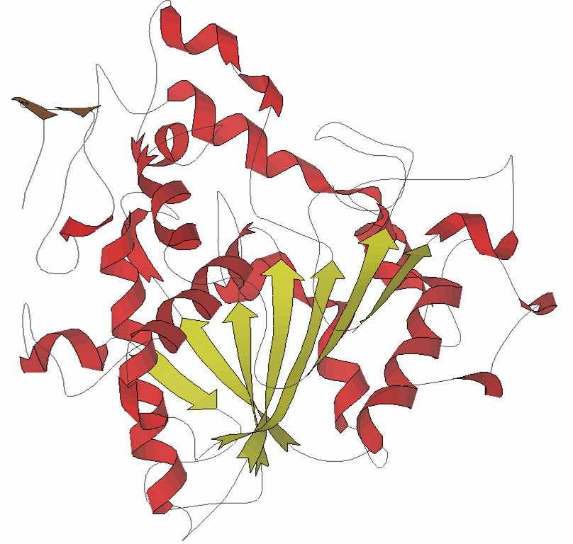 2000L (Novozyme) или имобилисана на јоноизмењивачки носач фенолформаледехидни полимер Duolite ES 562, под називом Lipozyme RM IM (Novozyme). 1.4.5.3.