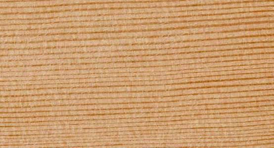 2.1.4 Ψευδοτσούγκα (OREGON PINE) Γ Ε Ν Ι Κ Α Εικόνα 2.3 Ψευδοτσούγκα με τα φύλλα και τους καρπούς της Κύρια προϊόντα στην αγορά: Πριστή ξυλεία, καπλαμάδες, αντικολλητή, επικολλητή ξυλεία.