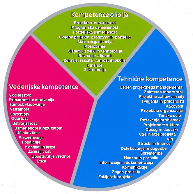 VEŠČINE MANAGERJA PROJEKTA