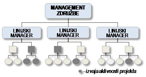 PROJEKTNI V FUNKCIJSKI ORGANIZACIJI strokovnjaki lahko delujejo na več projektih skupno reševanje problemov velika fleksibilnost izkoriščanja