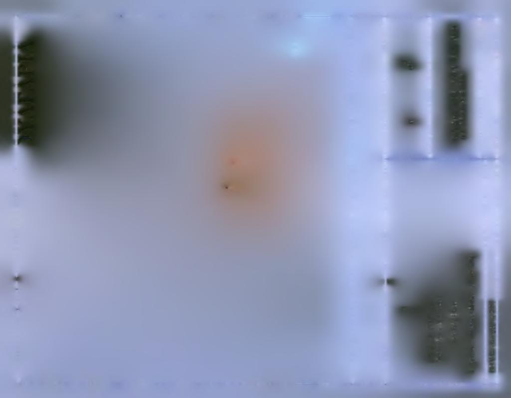 yidvjvac =L Φ9- t Θ Ci z > z > O X > o c Εέ 0 e Ξ < < H < iii w ω Ϊ < o * CP F >b Usl IT W CP co e> I < ; i it 0- < LLl i_p * & \- g