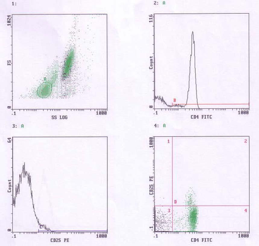 CD4+ CD25+ CD4+/CD25+ Εικόνα 2γ: Μέτρηση των CD4+ κυττάρων και της CD25