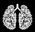 Τερροβίτου, Διευθύντρια Πνευμονολογικής Κλινικής, ΓΝ Καβάλας Αιτιολογικοί παράγοντες στη ΧΑΠ: απαντάται η νόσος σε μη καπνιστές; Μάρθα Λαδά, Πνευμονολόγος Πνευμονική υπερδιάταση και συμπτωματολογία