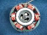 Rotor cực