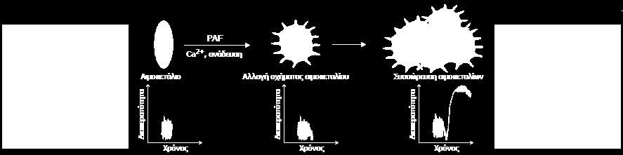 κληρονομικές διαταραχές σε αυτό το επίπεδο έχουν ως αποτέλεσμα την αυξημένη αιμορραγική διάθεση. Εικ.20.
