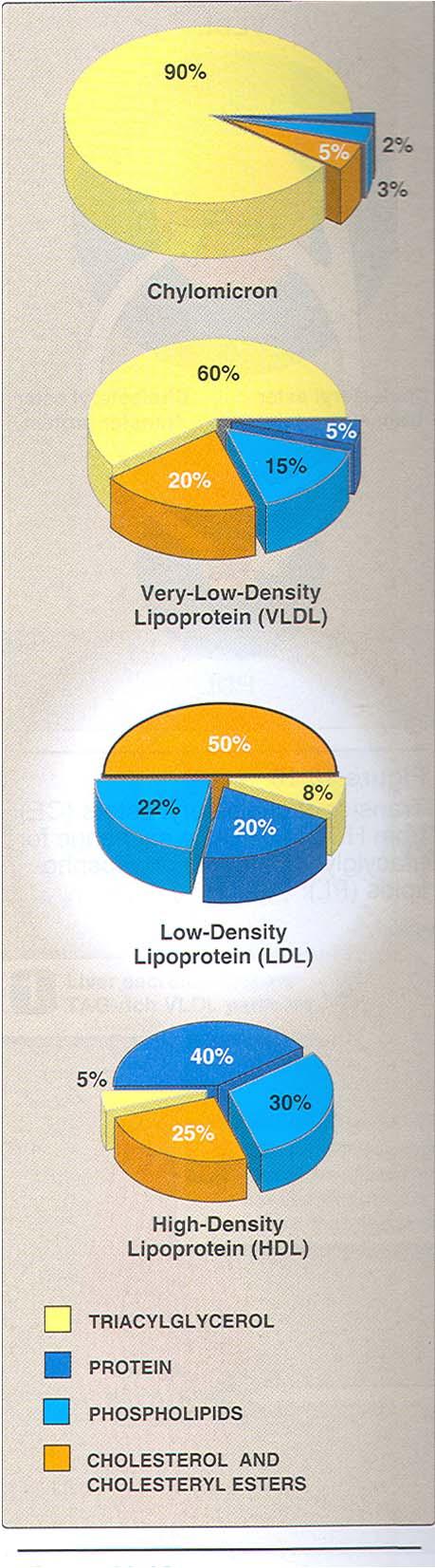 Sestava lipoproteinov TAG Fosfolipidi Holesterol Proteini in estri Hilomikroni +++ - - - VLDL ++ + + - LDL - + ++ +