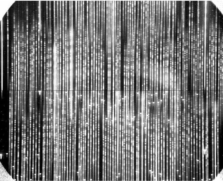 Multi-slit Spectroscopy Παξάδεηγκα εηθόλαο από θαζκαηνγξάθν πνιιαπιώλ ζρηζκώλ.