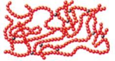 .4.. Ελαστομερή (elastomers, rubbers) Είναι συνήθως γραμμικά πολυμερή με διακλαδισμένες αλυσίδες.