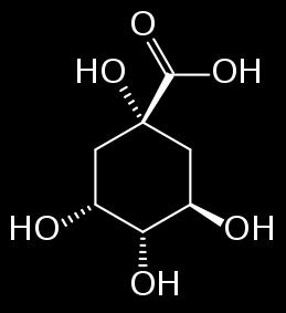 3-δευδροκινικό ανιόν Biosynthesis of