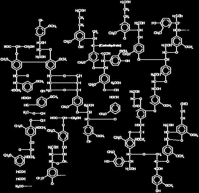 (Freudenberg and Nelsh, 968, O Malley et al, 99). Οι λακκάσες (EC...2.