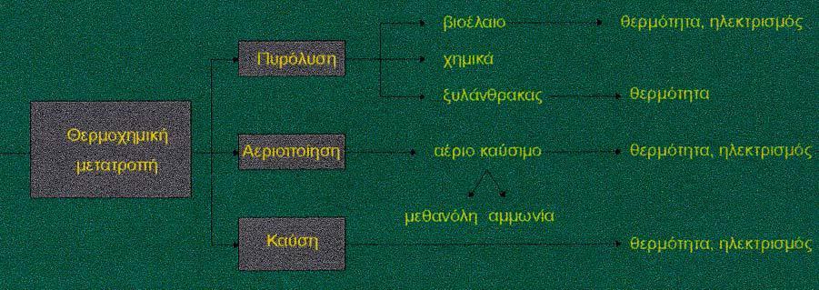 Θ κερμοχθμικι μετατροπι τθσ βιομάηασ οδθγεί είτε ςτθν απ ευκείασ παραγωγι ενζργειασ (καφςθ), είτε ςτθν παραγωγι καυςίμου, το οποίο ςτθ ςυνζχεια μπορεί να χρθςιμοποιθκεί αυτόνομα.