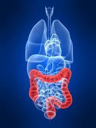 Obesity Related Cancers ΚΑΡΚΙΝΟΣ ΠΑΧΕΩΣ ΕΝΤΕΡΟΥ & ΟΡΘΟΥ ΑΥΞΗΣΗ ΚΙΝΔΥΝΟΥ Αλκοόλ (ιδιαίτερα στους άνδρες) Αύξηση σωματικού βάρους και παχυσαρκία (ιδιαίτερα στους άνδρες αλλά και στις γυναίκες) Αύξηση