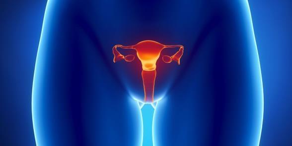 Obesity Related Cancers ΚΑΡΚΙΝΟΣ ΜΗΤΡΑΣ ΑΥΞΗΣΗ ΚΙΝΔΥΝΟΥ* Αύξηση σωματικού βάρους και παχυσαρκία (λόγω αύξησης των