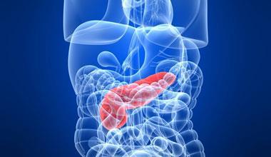 Obesity Related Cancers ΚΑΡΚΙΝΟΣ ΠΑΓΚΡΕΑΤΟΣ ΑΥΞΗΣΗ ΚΙΝΔΥΝΟΥ Αύξηση σωματικού βάρους και παχυσαρκία Τύπου 2 Σακχαρώδης διαβήτης, προδιαβήτης (πολλές φορές η αιτία είναι η αύξηση του σωματικού βάρους)