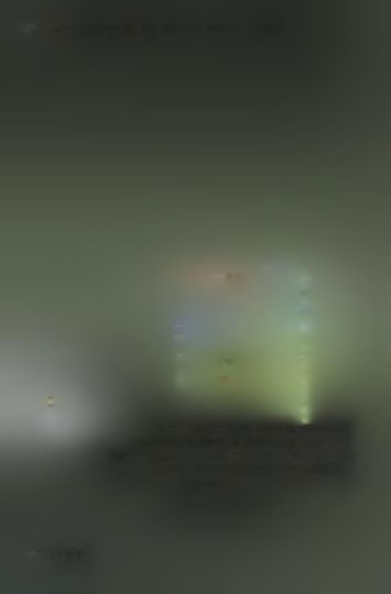 Εικόνα 11. Πρώιμη προσβολή από Αλτερνάρια, με την εμφάνιση κηλίδων που περιβάλλονται από χλωρωτική άλω (ΦωτολίΒος Δράμας, 17-05-2011). Εικόνα 12.