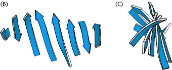 β-πτυχωτές επιφάνειες Μια στραμμένη β-πτυχωτή επιφάνεια Η στροφή συστροφής των κλώνων συνήθως είναι αριστερόστροφη αν
