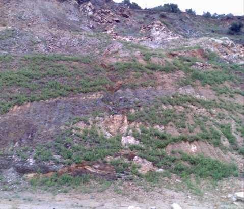 Στις ζώνες αυτές έχουν παρατηρηθεί μικρές αστοχίες και στο σύνολό τους αποτελούν εν δυνάμει επιφάνειες αστοχίας Οι εκσκαφές στο όρυγμα αυτό ολοκληρώθηκαν το καλοκαίρι