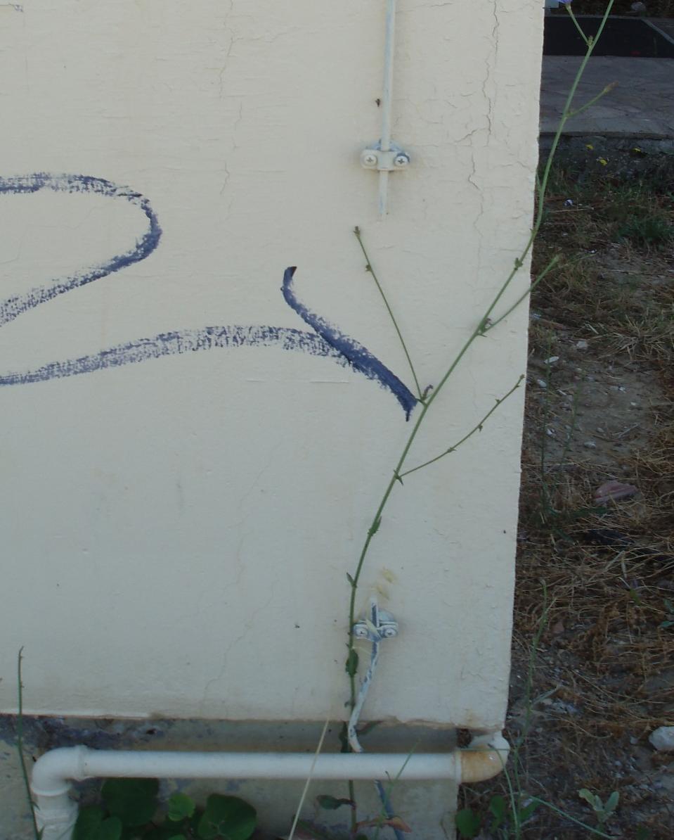 Δυτικού κτιρίου του τμήματος Θεατρικών Σπουδών (βλέπε Φωτό 7) με χρήση χαλύβδινου, μονόκλωνου αγωγού