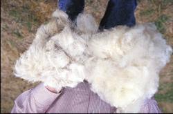 a unor fibre naturale:
