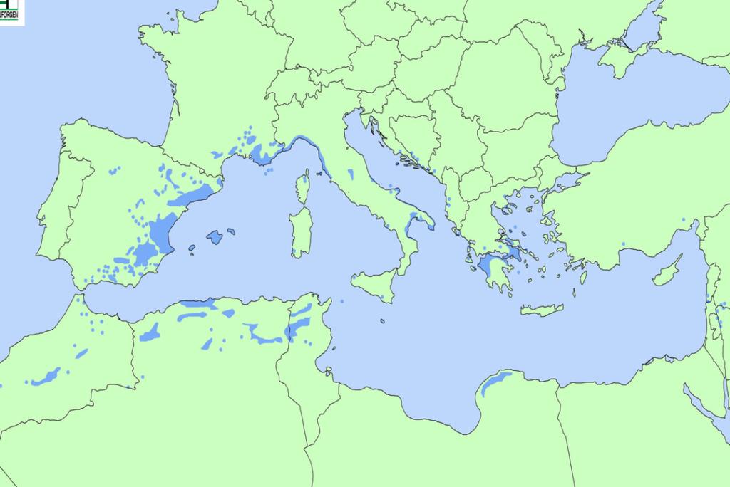 Περιγραφή του είδους- Γενικά περί ρητίνης κάτω από τους -3 C.