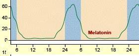 Μελατονίνη και ο κύκλος ύπνου-εγρήγορσης Ημερήσια
