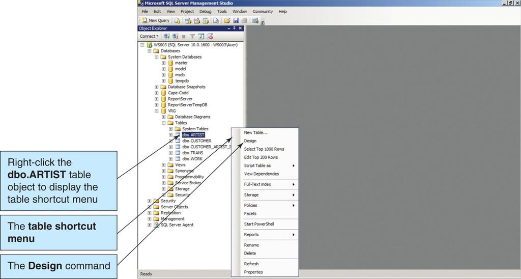 ΕΜΦΑΝΙΣΗ ΡΙΝΑΚΩΝ MICROSOFT SQL