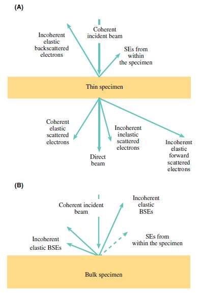 Λεπτό Δείγμα Μικροσκόπιο Διέλευσης (Transmission Electron Microscope, TEM) τα ηλεκτρόνια σκεδάζονται ελάχιστα Παχύ Δείγμα Ηλεκτρονικό