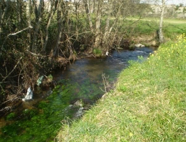 O curso do río Zamáns atópase moi marcado na súa zona alta pola súa proximidade a zona industrial, así como a autopista, sendo o seu estado de abandono patente.
