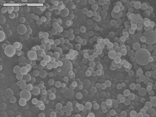 α) β) γ) δ) Σχήμα 2. Εικόνες SEM Μ.Α.Π. και Π.Α. α) MIP 1, β) MIP 2, γ) MIP 3 και δ) ΝΙΡ 3 Πίνακας 2.