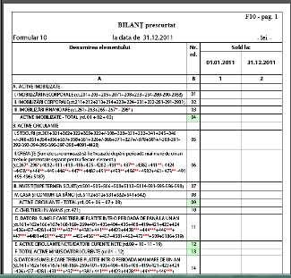 29 mai, data limită pentru depunerea situațiilor financiare anuale 2011 și a raportărilor anuale. Depunerea se poate face online!