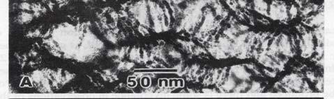 fabricated at IMEL by lithography and highly anisotropic silicon etching, based on