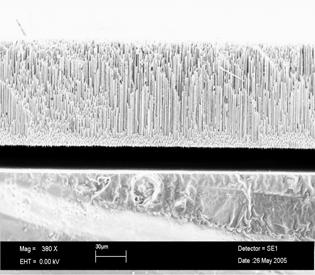 microfluidics and