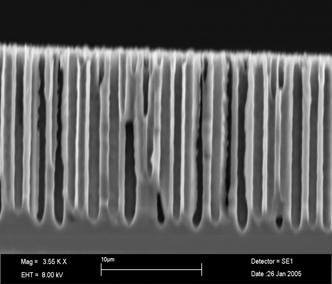 Ordered  silicon
