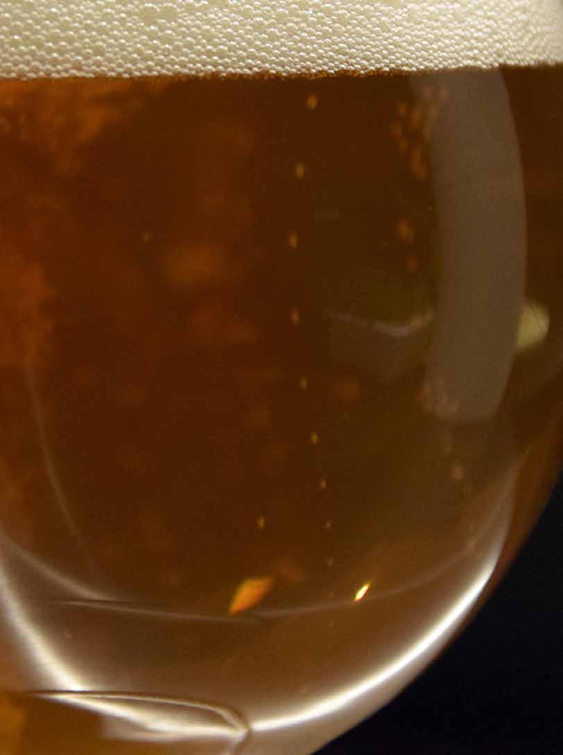 Stout-Porter Αφροζύμωτο είδος μπύρας με σκούρο χρώμα, αρχικά ιρλανδικής καταγωγής. Γενικά έχουν χαρακτήρες καβουρδισμένης βύνης, συχνά μάλιστα η γεύση τους αφήνει εντύπωση καραμέλας ή σοκολάτας.