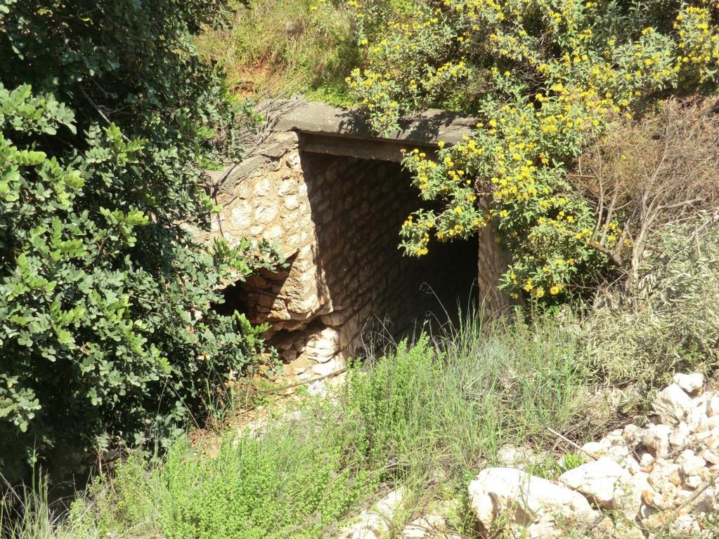 Φωτογραφία 4.