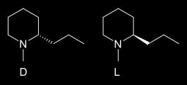 κωνεΐνη κωνυδρίνη γ-κωνισεϊνη