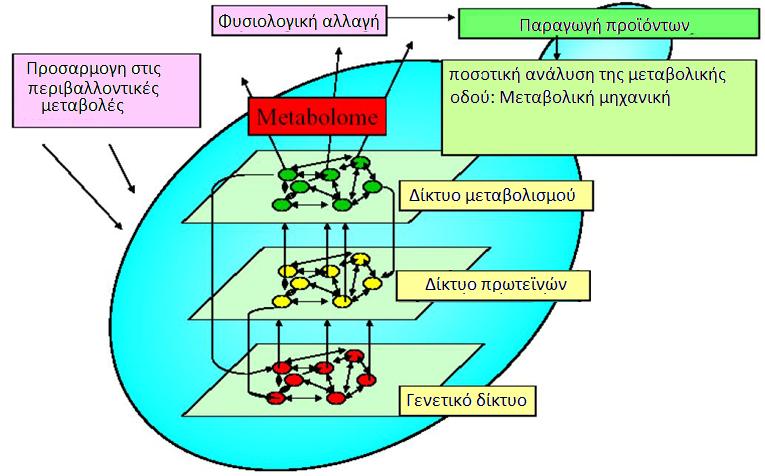 Από τη βιοτεχνολογία στη μεταβολική