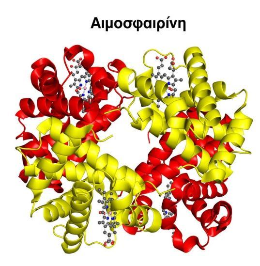 Η πηγή ακολουθεί την πορεία: 57 Co 57 Fe * 57 Fe +γ Συχνά απαιτείται εμπλουτισμός του