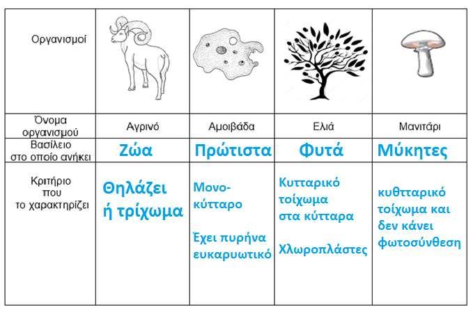 (β) Οι οργανισμοί έχουν χωριστεί σε πέντε (5) Βασίλεια που με αλφαβητική σειρά είναι: Ζώα Μονήρη Μύκητες Πρώτιστα Φυτά Στον πιο κάτω πίνακα παρουσιάζονται τέσσερις (4) οργανισμοί (σε διαφορετική