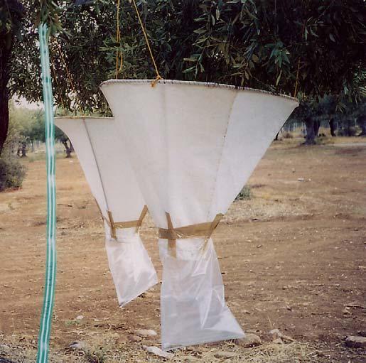 βλάστηση και με τη βοήθεια των σχοινιών ρυθμίστηκε η απόστασή τους από