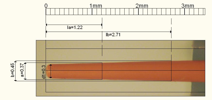 Εικόνα 8. Θέση πραγµατοποίησης µετρήσεων σε κώνους γουταπέρκας του συστήµατος ProTaper (µέγεθος δοκιµίου 30 9%).